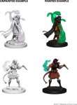 TIEFLING FEMALE SORCERER - D&D NOLZUR'S MARVELOUS MINIATURES