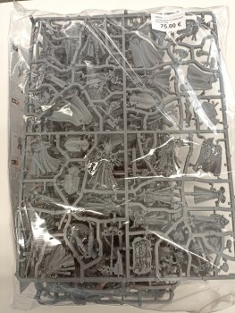 LOT STORMCAST ETERNAL (ETERNELS DE L’ORAGE) RAZ-DE-SKAVEN